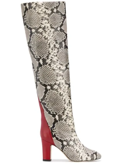 Gia Couture Python Print Knee High Boots In Black