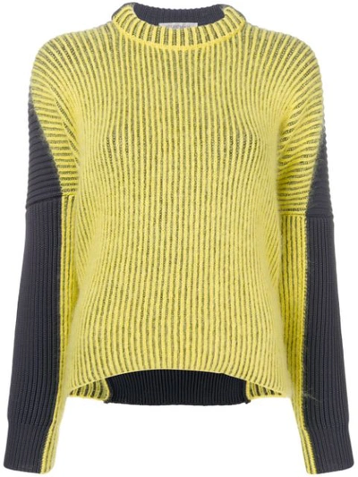 Sportmax Bicolour Sweater - Yellow
