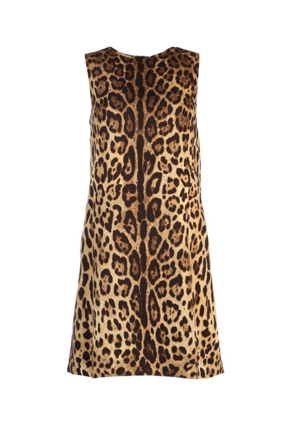 Dolce & Gabbana Multicolor Leopard Dress In Animal Print