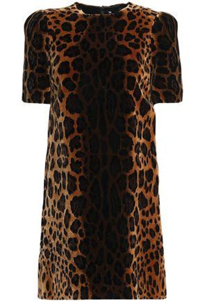 Dolce & Gabbana Woman Leopard-print Silk-blend Velvet Mini Dress Animal Print