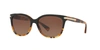 Coach Cat-eye Sunglasses W/ Logo Plate Temples In Brown Gradient Polar