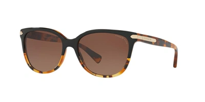 Coach Cat-eye Sunglasses W/ Logo Plate Temples In Brown Gradient Polar