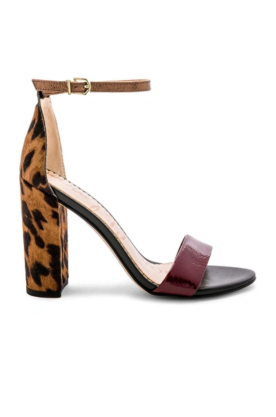 Sam Edelman Yaro Sandal In Leopard