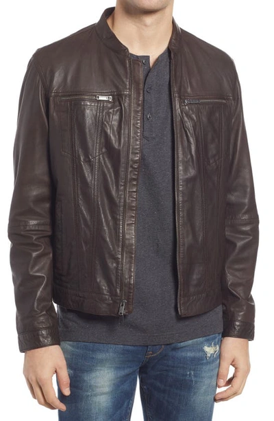 John Varvatos Star Usa Leather Band Collar Moto Jacket In Chocolate
