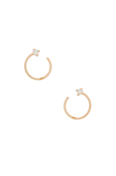 Natalie B Jewelry Leilani Hoops In Metallic Gold