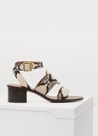 Chloé Rony Snake-embossed Cutout Lace-up Sandals In Eternal Grey