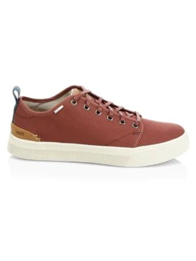 Toms Trvl Lite Low Top Sneakers In Muscat