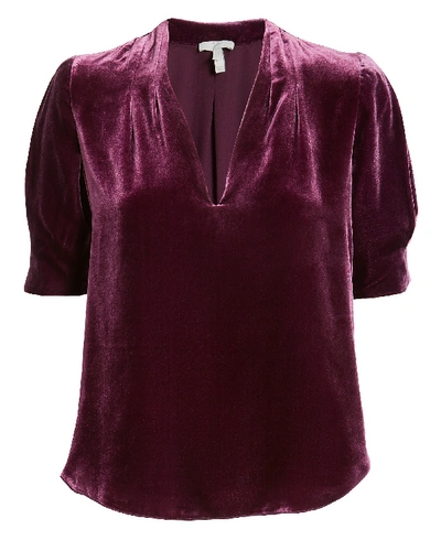 Joie Ance Velvet Blouse In Blackberry