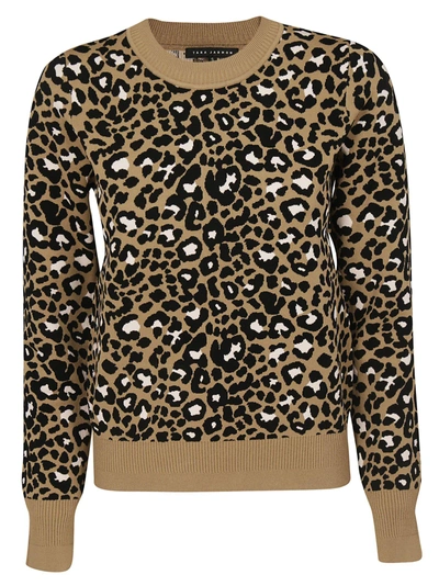 Tara Jarmon Leopard Print Sweater In Camel