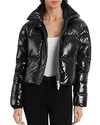 Bagatelle.nyc Bagatelle. Nyc Cropped Hooded Puffer Jacket In Black