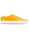 Yellow & Orange