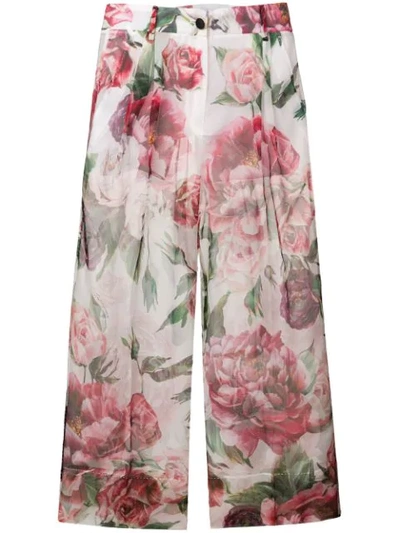 Dolce & Gabbana Floral Print Cropped Trousers In White