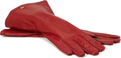Dolce & Gabbana Long Gloves In Red