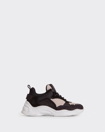 Iro Curverunner Sneakers In Black/white
