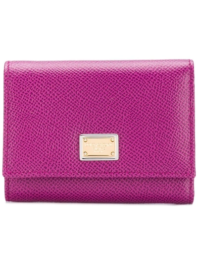 Dolce & Gabbana Bi0770a10018h315 - Purple