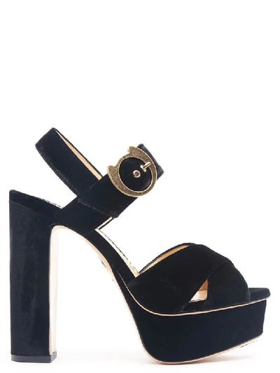 Charlotte Olympia Shoes In Black