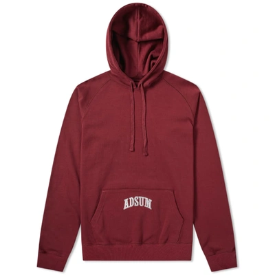 Adsum Washed Collegiate Popover Hoody In Burgundy