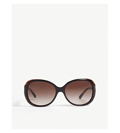 Giorgio Armani Ar8047 Havana Female Sunglasses In Black