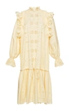 Alberta Ferretti Long Sleeve Eyelet Cotton Blend Mini Dress In Yellow