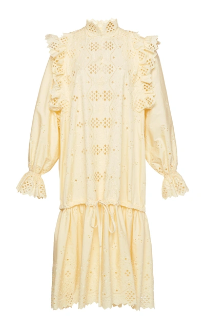 Alberta Ferretti Long Sleeve Eyelet Cotton Blend Mini Dress In Yellow