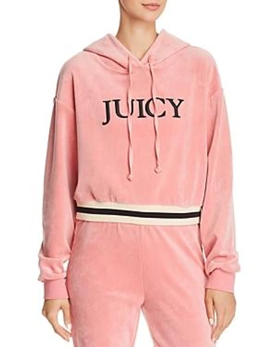 Juicy Couture Black Label Luxe Velour Logo Hoodie In Blush