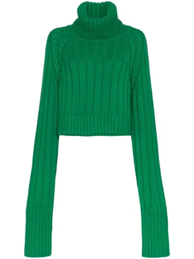 Matthew Adams Dolan Oversized Roll-neck Sweater - Green