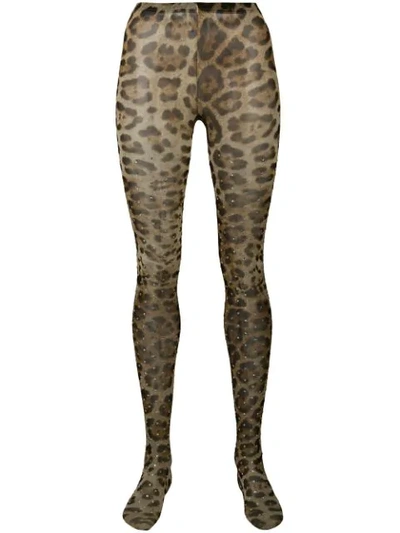 Dolce & Gabbana Leopard Tights In Neutrals
