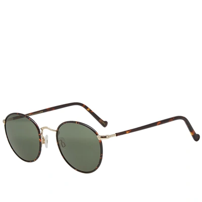 Moscot Zev Sunglasses In Brown