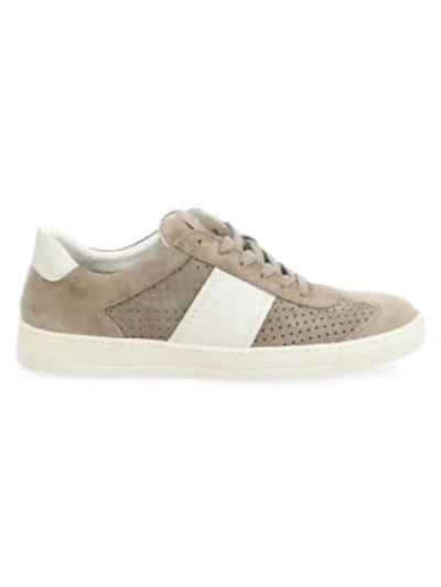 Bruno Magli Dario Lace-up Suede Sneakers In Taupe