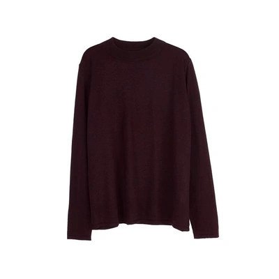 Arela Joan Merino Wool Sweater In Cool Brown