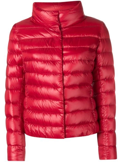 Herno Zipped Up Pudder Jacket - 红色 In Red