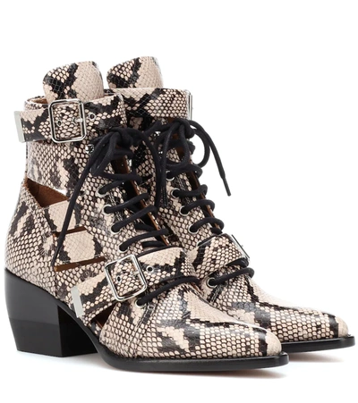Chloé Rylee Cutout Snake-effect Leather Ankle Boots In Neutrals