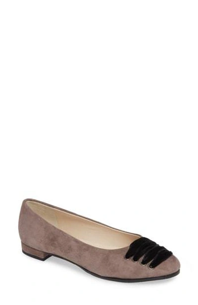 Amalfi By Rangoni Gallena Laced Skimmer In Dark Taupe Suede