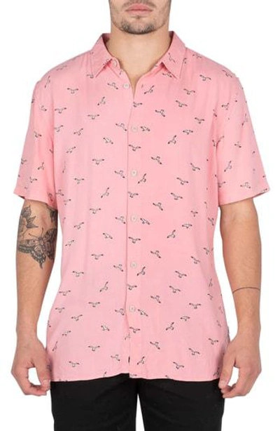 Barney Cools Seagull Print Shirt In Pink Seagull