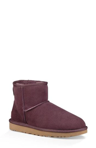 Ugg 'classic Mini Ii' Genuine Shearling Lined Boot In Port Suede