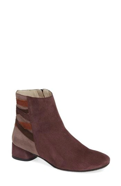 Amalfi By Rangoni Rustico Bootie In Eggplant Suede