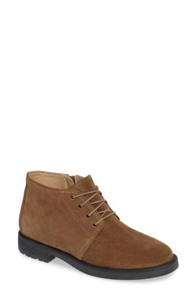 Amalfi By Rangoni Baltimore Chukka Boot In Taupe Suede