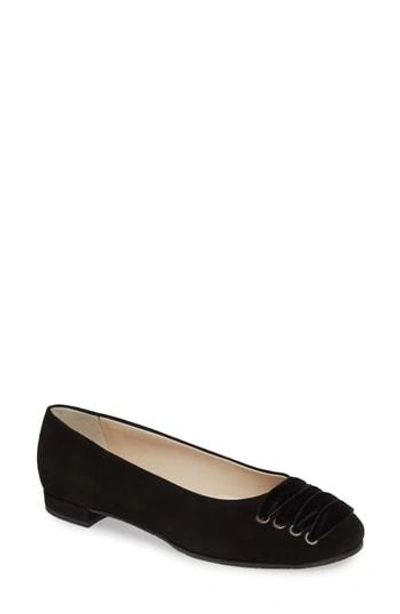 Amalfi By Rangoni Gallena Laced Skimmer In Black Suede