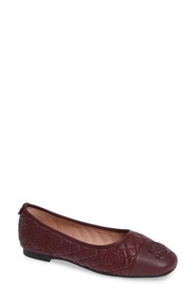 Taryn Rose Reese Embroidered Flat In Fig Leather