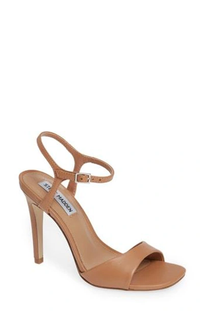 Steve madden fitz best sale sandal