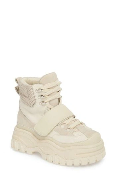 Jeffrey campbell hotsell high top sneakers