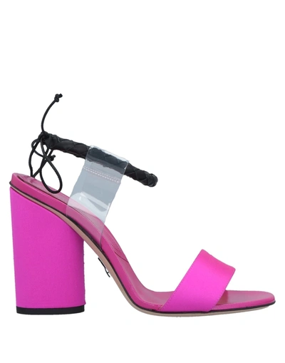 Paul Andrew Sandals In Fuchsia