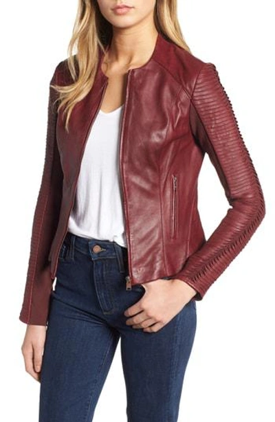 Lamarque Collarless Pleated Sleeve Leather Jacket In Wine