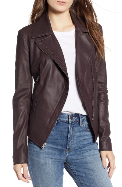 Marc New York Feather Leather Moto Jacket In Burgundy