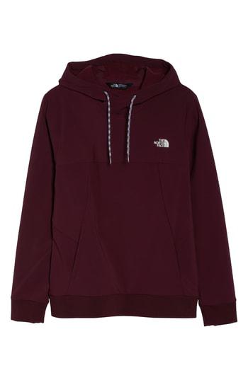 the north face tekno fresh hoodie