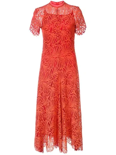 knee length dresses for ladies Proenza Schouler White Label Miriam Dress (Ecru), M