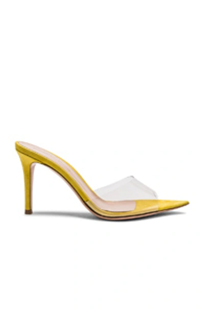 Gianvito Rossi Plexi See-through Vinyl/suede Slide Sandals In Yellow