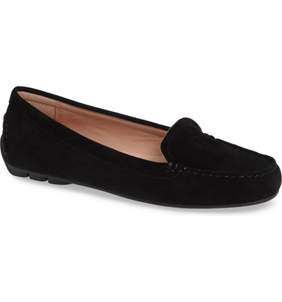 Taryn rose 2024 karen loafer