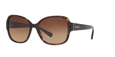 Coach Butterfly Sunglasses W/ Speckled Transparent Arms In Dark Tortoise