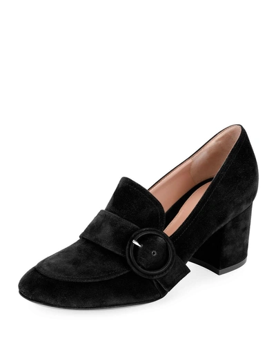 Gianvito Rossi Suede Buckle 60mm Loafers In Black